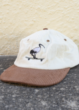 Load image into Gallery viewer, Lies Collective - Skatepark Scavenger Hat