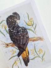 Load image into Gallery viewer, Black Cockatoo & Golden Wattle Gift Card