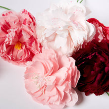 Load image into Gallery viewer, Paper Flower Making Kit

