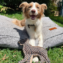 Load image into Gallery viewer, Desert Dog Chew Toy - Bob
