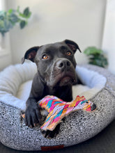 Load image into Gallery viewer, Desert Dog Chew Toy - Ben
