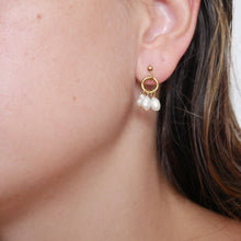 Load image into Gallery viewer, The Anthos Studs
