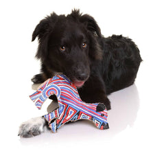 Load image into Gallery viewer, Desert Dog Chew Toy - Ben
