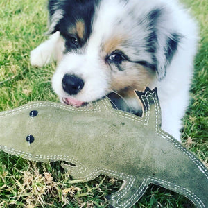 Outback Animal Toy - Steve the Crocodile: Suede