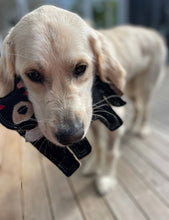 Load image into Gallery viewer, Outback Felt Toy - Tassie Devil
