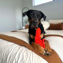 Load image into Gallery viewer, Outback Animal Toy - Pam The Prawn

