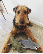 Load image into Gallery viewer, Outback Animal Toy - Shazza the Great White Shark
