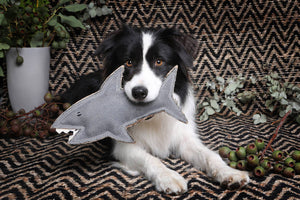 Outback Animal Toy - Shazza the Great White Shark