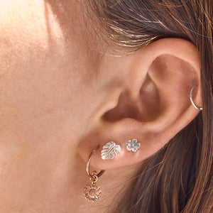 Monstera Studs