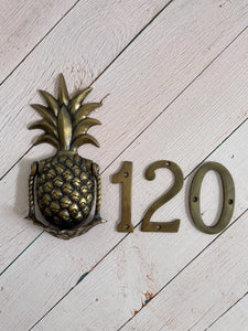 Pineapple Traders - Small House Number