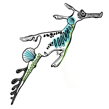 Load image into Gallery viewer, Weedy Seadragon Blue Sticker
