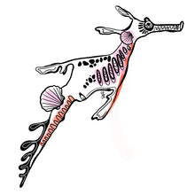 Load image into Gallery viewer, Weedy Seadragon Pink Sticker
