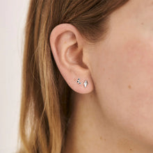 Load image into Gallery viewer, Conch Seashell Studs
