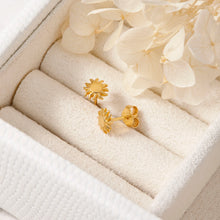 Load image into Gallery viewer, Sunshine Gold Studs
