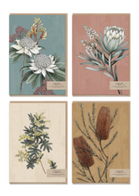 Load image into Gallery viewer, Boxed Card Set - Native Flora
