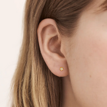 Load image into Gallery viewer, Dainty Star Studs Gold
