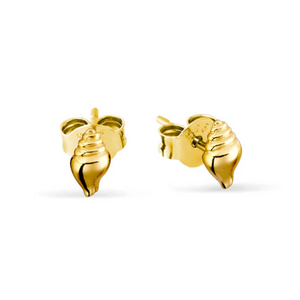 Conch Seashell Studs Gold