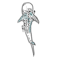 Load image into Gallery viewer, Whale Shark Sticker

