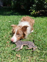 Load image into Gallery viewer, Desert Dog Chew Toy - Bob
