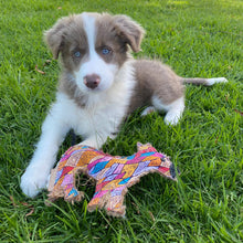 Load image into Gallery viewer, Desert Dog Chew Toy - Ben
