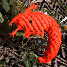 Load image into Gallery viewer, Outback Animal Toy - Pam The Prawn
