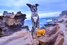 Load image into Gallery viewer, Outback Felt Toy - Darren The Dingo
