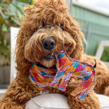 Load image into Gallery viewer, Desert Dog Chew Toy - Ben
