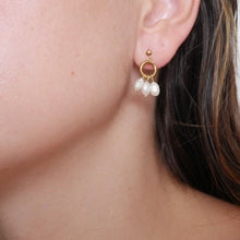 Load image into Gallery viewer, The Anthos Studs
