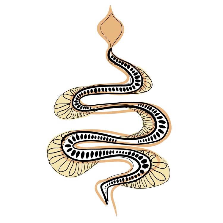 Fierce ll Snake Orange Sticker