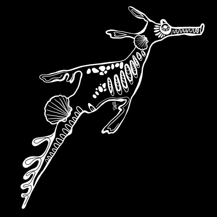 Weedy Seadragon White Sticker