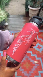 Weedy Seadragon White Sticker