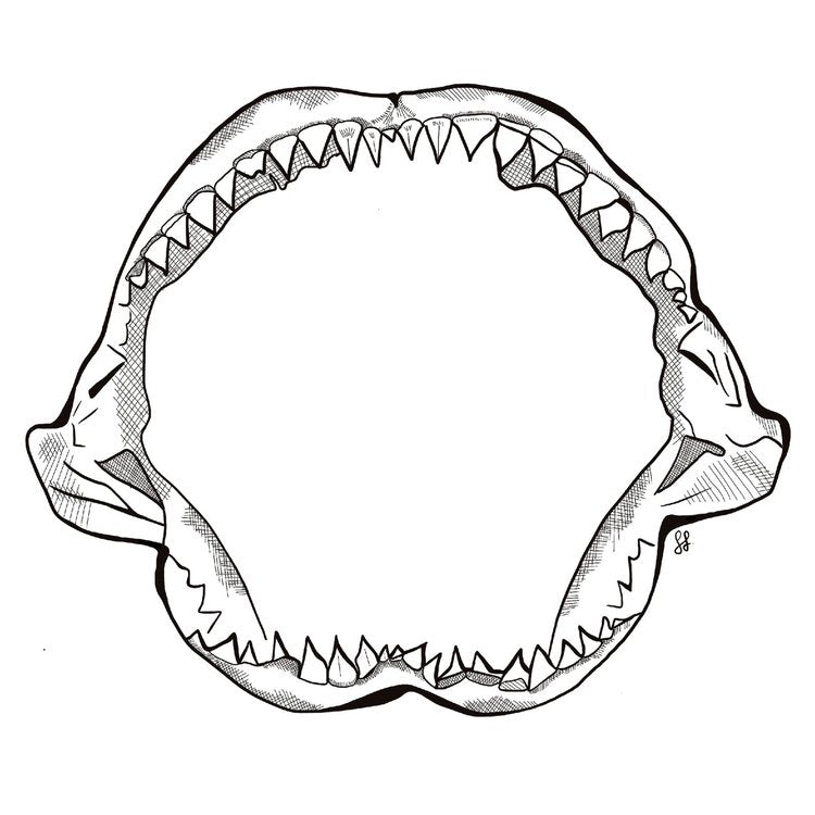 Shark Jaw Sticker