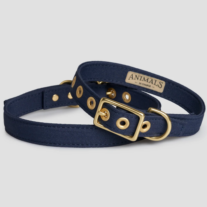 Recycled Canvas Dog Collar - NAVY