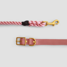 Load image into Gallery viewer, Recycled Canvas Dog Collar  - DUSTY PINK
