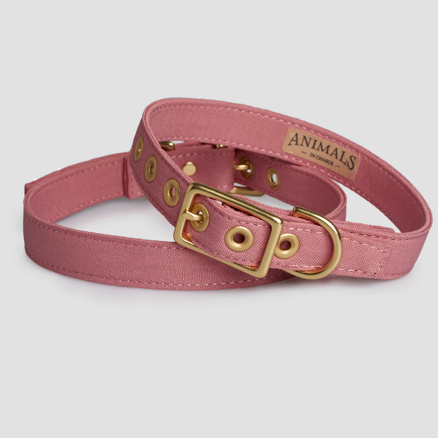 Recycled Canvas Dog Collar  - DUSTY PINK