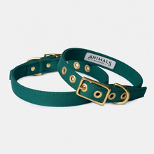 Load image into Gallery viewer, Recycled Canvas Dog Collar - FOREST GREEN
