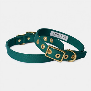 Recycled Canvas Dog Collar - FOREST GREEN