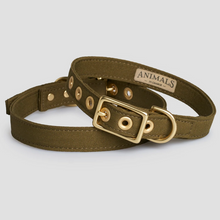Load image into Gallery viewer, Recycled Canvas Dog Collar - OLIVE
