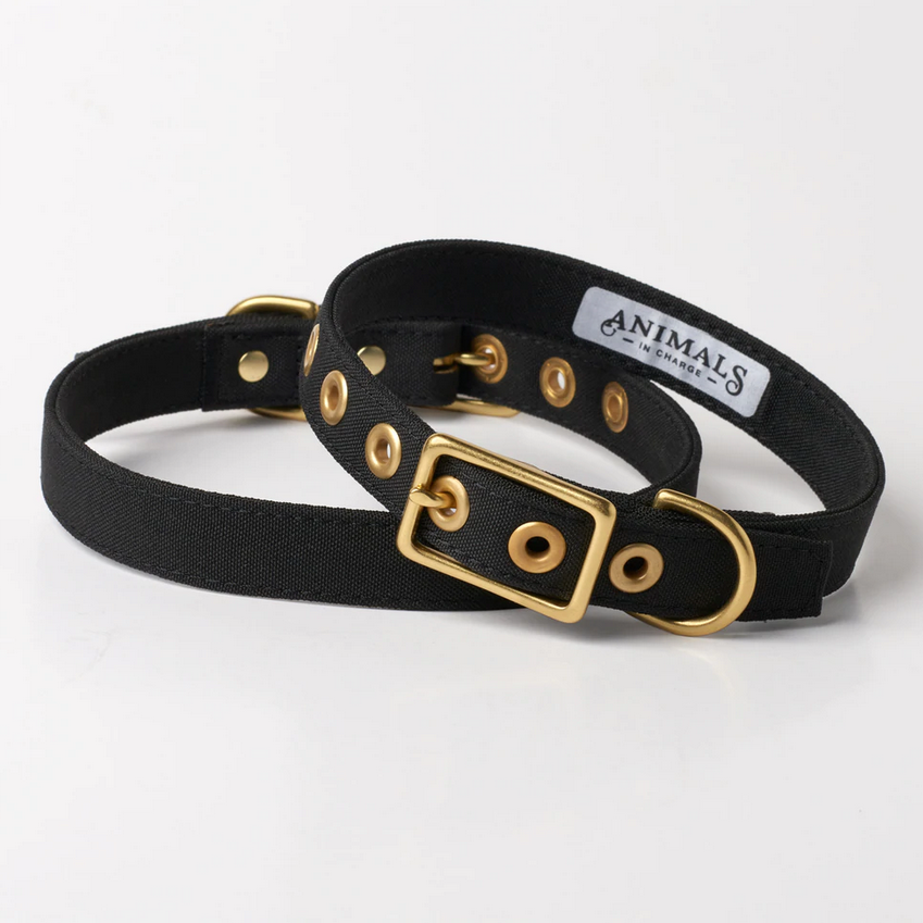 Recycled Canvas Dog Collar - BLACK