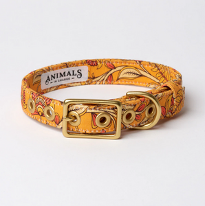 Designer Dog Collar - BOHEMIAN SUNSET