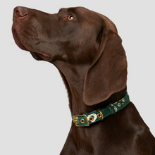 Load image into Gallery viewer, Designer Dog Collar - WINTER GARDEN
